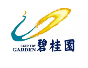 大埔碧桂园地产